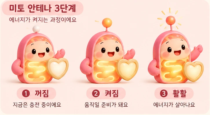 미토 안테나 3단계: 꺼짐 지금은 충전 중, 켜짐 움직일 준비, 활활 에너지가 살아나요