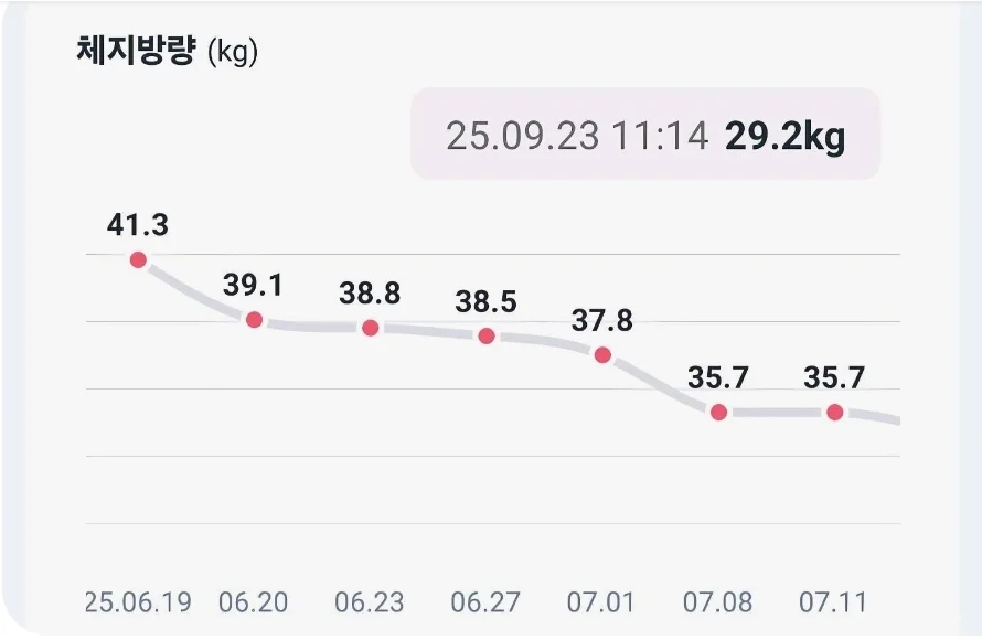 회원 체지방량 그래프 41.3kg에서 29.2kg